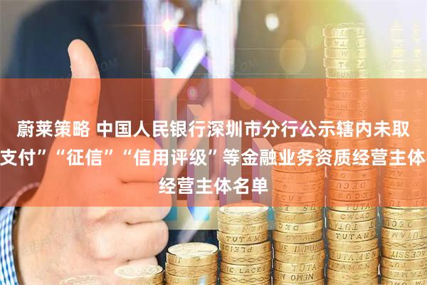 蔚莱策略 中国人民银行深圳市分行公示辖内未取得“支付”“征信”“信用评级”等金融业务资质经营主体名单
